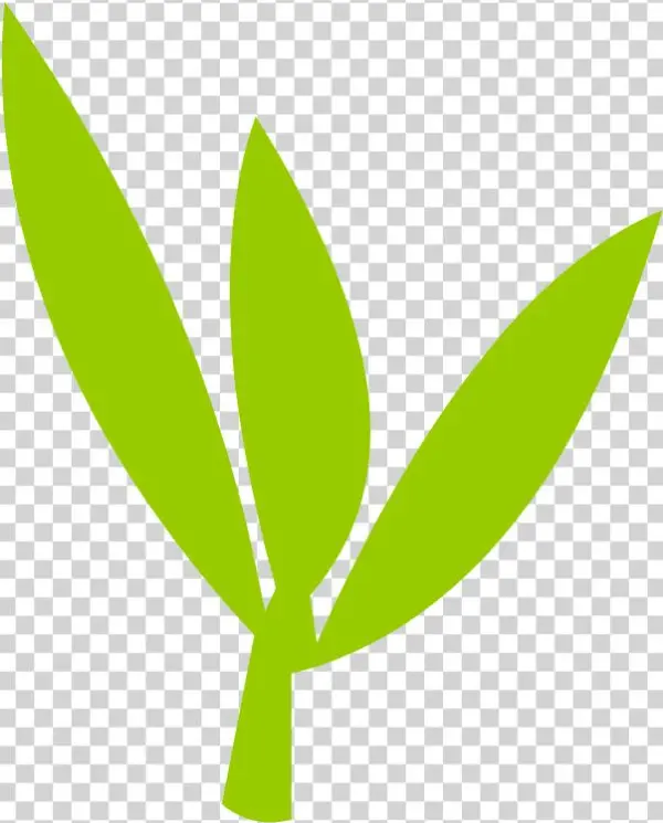 Agricultural Revolution - Science