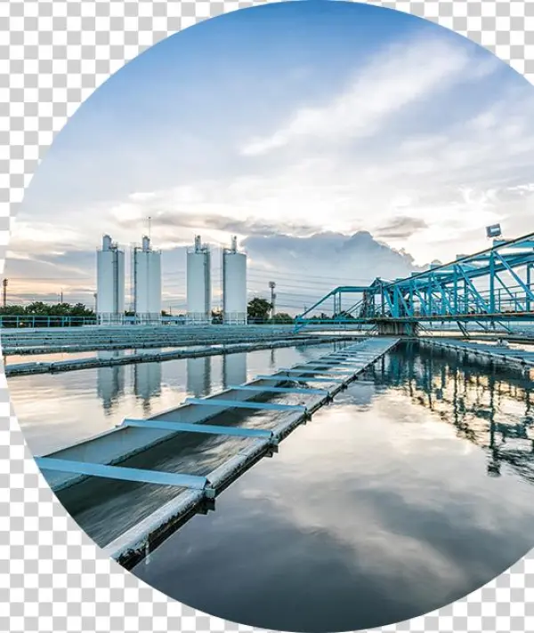 Areas Of Expertise - Iso 14001:2015 Implementation Handbook: Using Agement