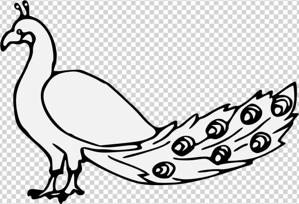Details, Png - Rooster