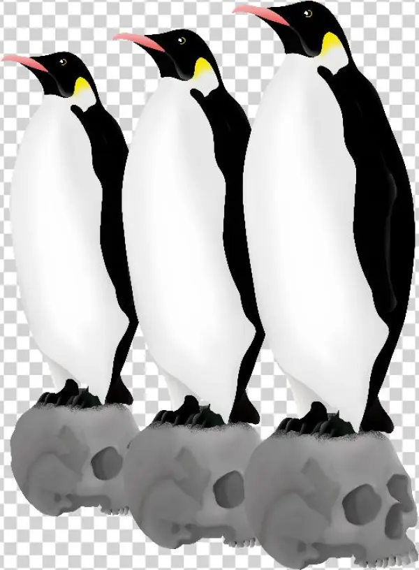 Emperor Penguins Skulls - Three Emperor Penguins Standing Proud On Skulls Bracelets,