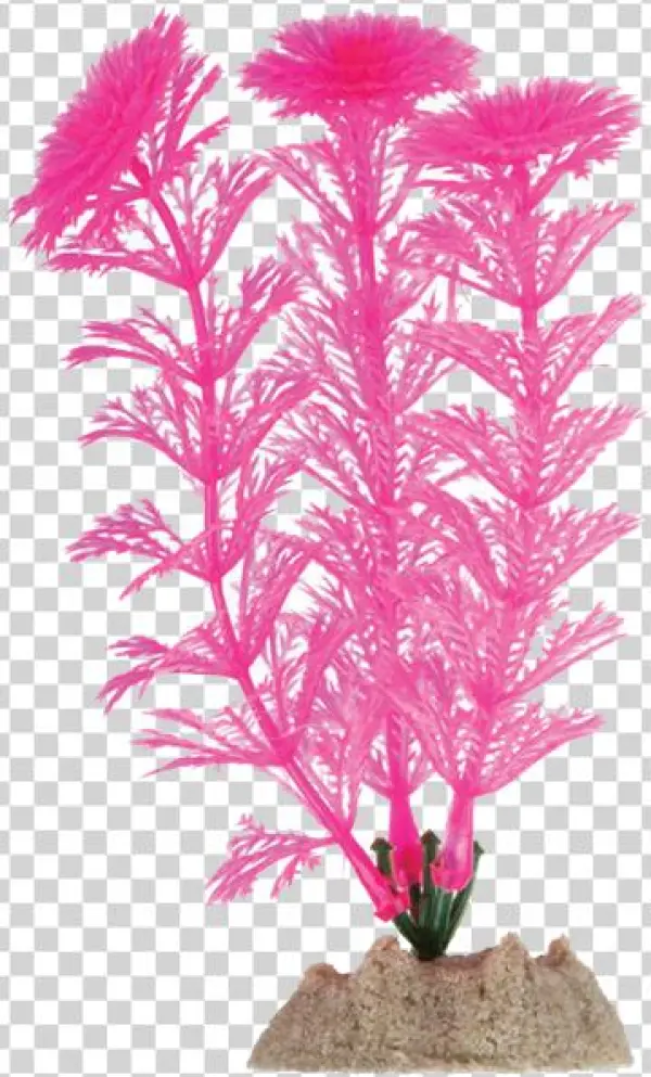 Glofish