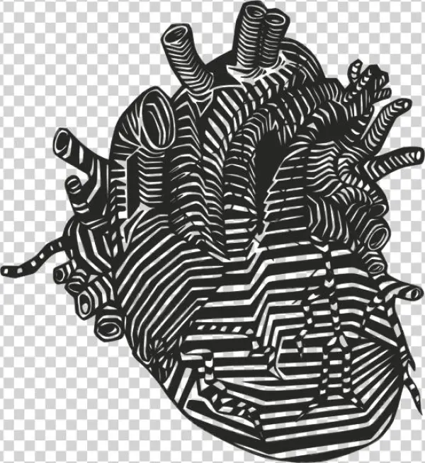 Heart Png Clip Art