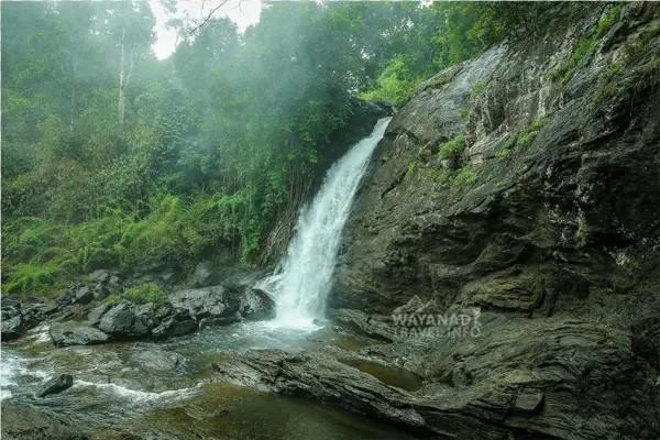 Image - Soochipara Falls