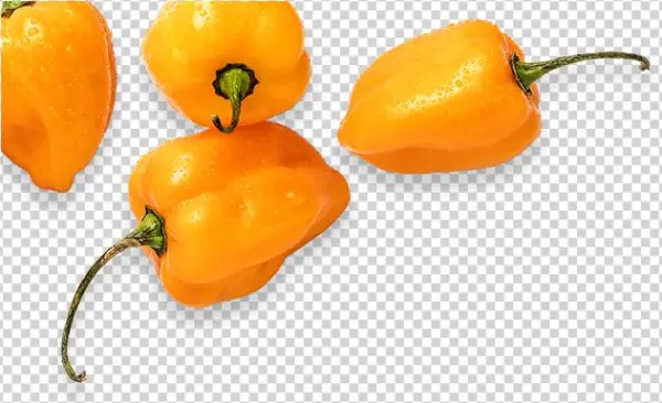 Previous Slide Next Slide - Yellow Pepper