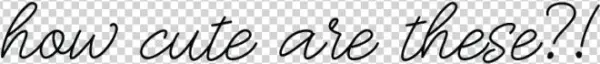 Subscribe To Our Newsletter - Calligraphy