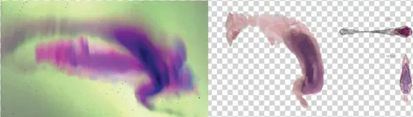 This Project Began With A Fifteen Second Film Clip