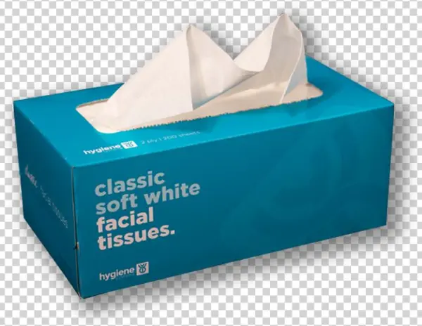 Tissues - Bag