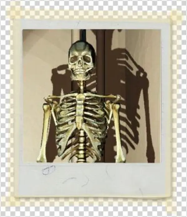 Tx E3 2a Sciclass Skeleton Unlocked - Texas