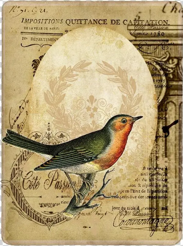 83087601 O - East Urban Home 'vintage Bird 3' Graphic Art Print