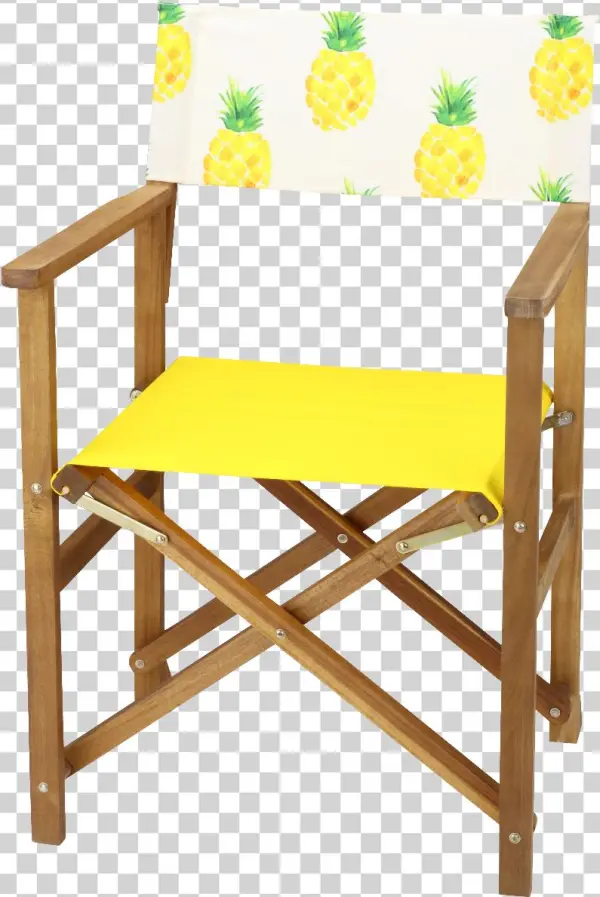 Acacia Hardwood Director Chair Set With Pineapple Print - Chair