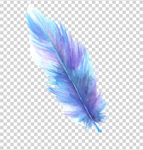 Jpeg With White Background - Art