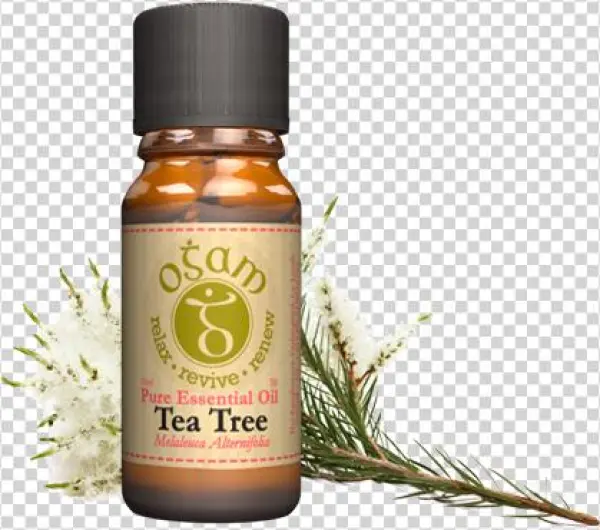 Ogam Tea Tree Pure Essential Oil - Tea Tree Essential Oil 100% Pure Therapeutic Grade