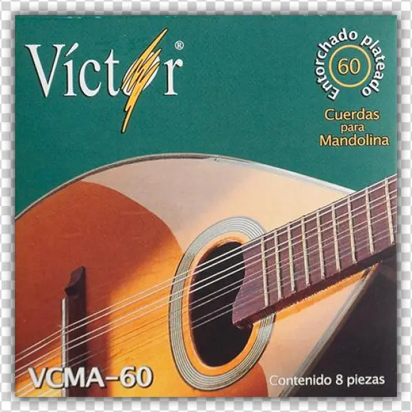 Privacy Notice - - Mandolin