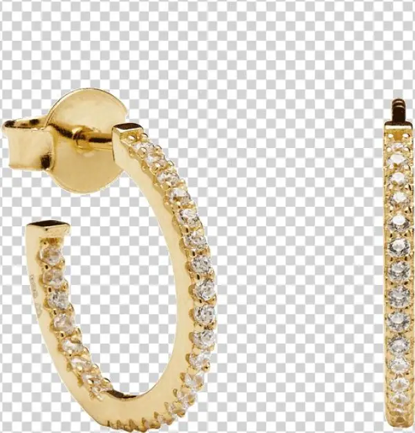 Supreme Gold Earrings - Earring