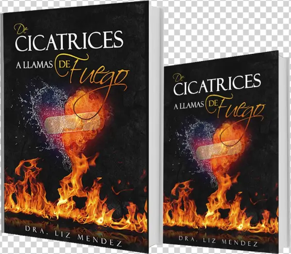 Ver Tienda - Book Cover