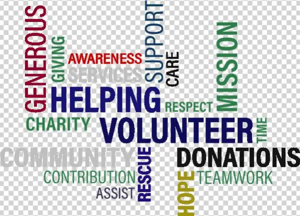 Volunteer - Download