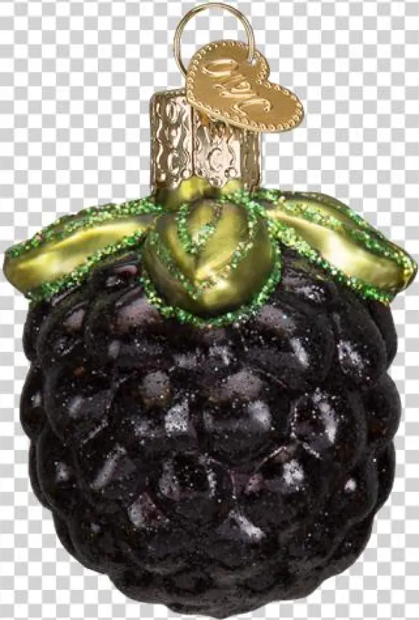 Blackberry Glass Ornament - Old World Christmas Pacific Blue Tang Tropical Fish