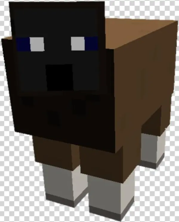 Dorper Sheep - Architecture