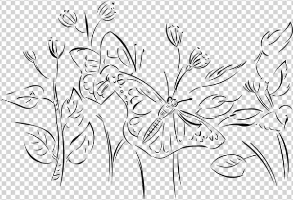 Drawing - Line Art