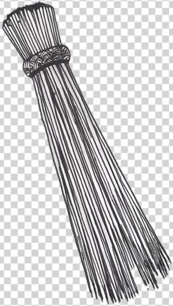 Filename - - Sketch