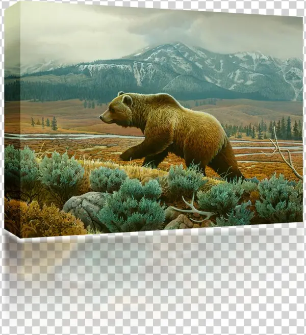 Grizzly Bear - World Of Animals [book]