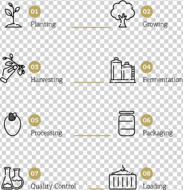 Process - Portable Network Graphics
