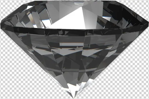 3d - Swallow X