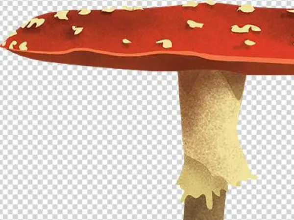 3mushroom - Agaric