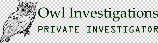 Amongst The Services We Offer Private Investigator - Texas Insurance Coverage Litigation- The Litigator's