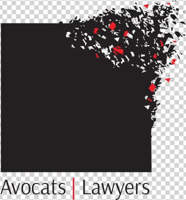 Focused On Modernity, This Law Firm Reinvents The Practice - Québec