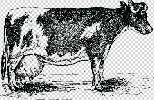 Free Clipart Of A Cow - Santos Red One Gewürzpräparat 300g Streudose