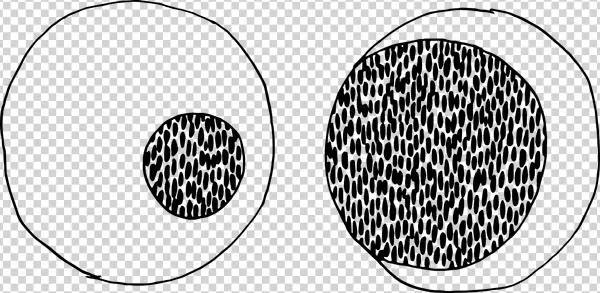Googley Eyes Png