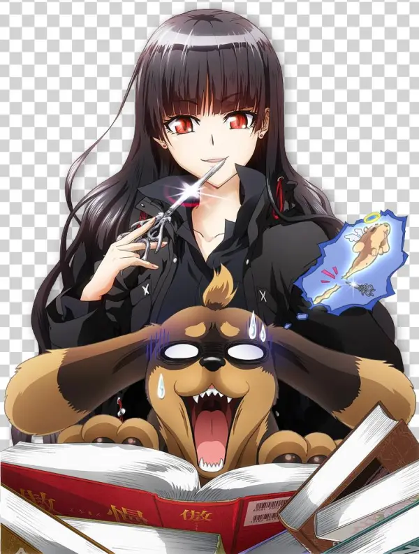 Inu To Hasami Wa Tsukaiyou Overall Score