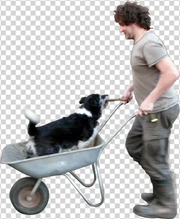 Wheelbarrow Dog Png Image - Drawing