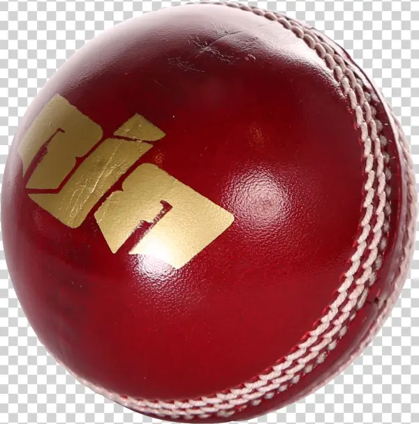 Why - Cricket