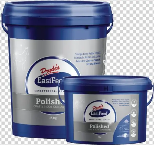 600x800px Polished-front