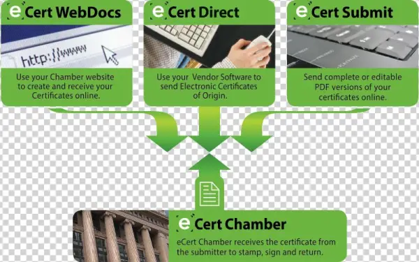 Ecertify Means Fewer Manual Processes, Fewer Errors - Export