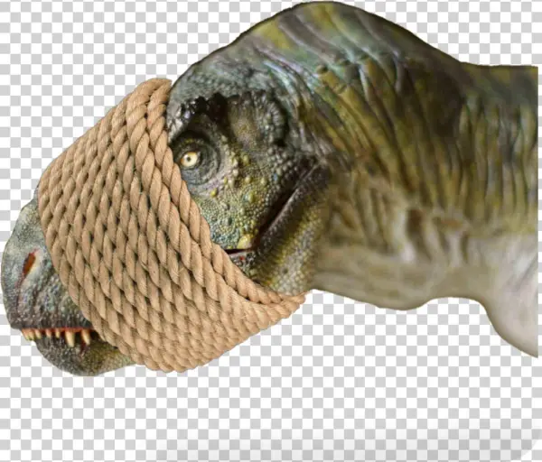 Ftestickers Dinosaur Morred Tied Rope Stickers Freetoe - Surya Carpet, Inc. Machine Woven Dorean Tencel Rug