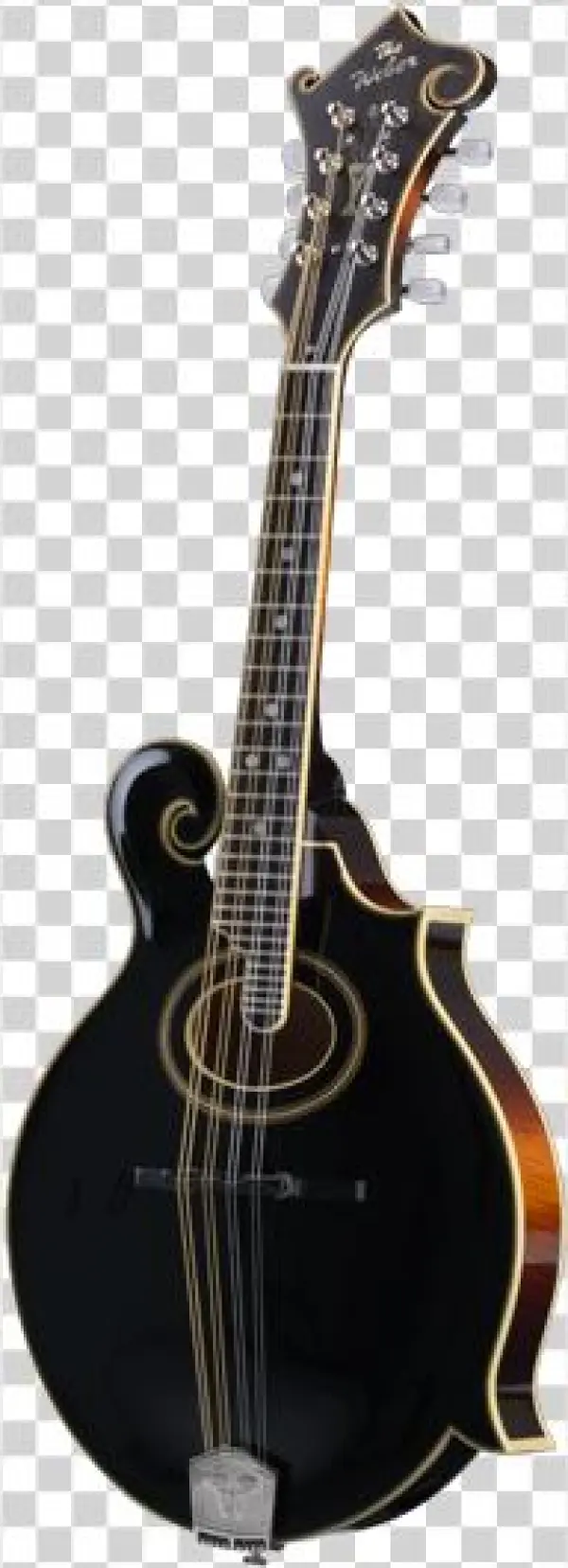 Gibson 1905