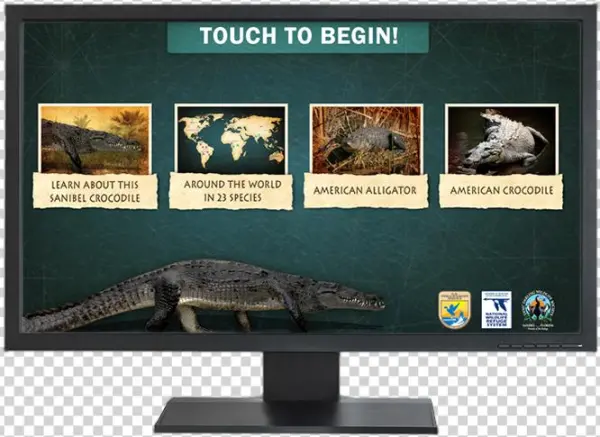 Interactive