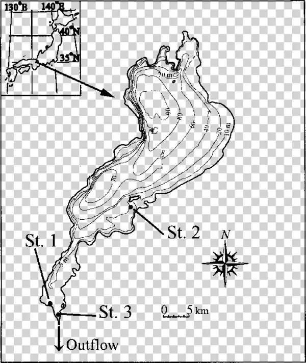 Location Of Sampling Stations In Lake Biwa - Microcystin