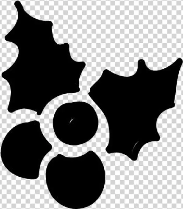 Mistletoe Drawing Vector - Emblem