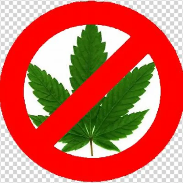 O Brasil E A Maconha - Hanfblatt