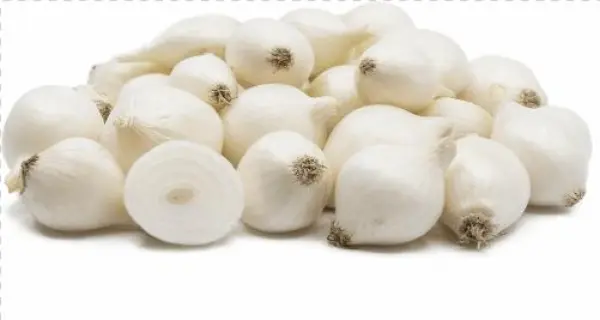 Onion