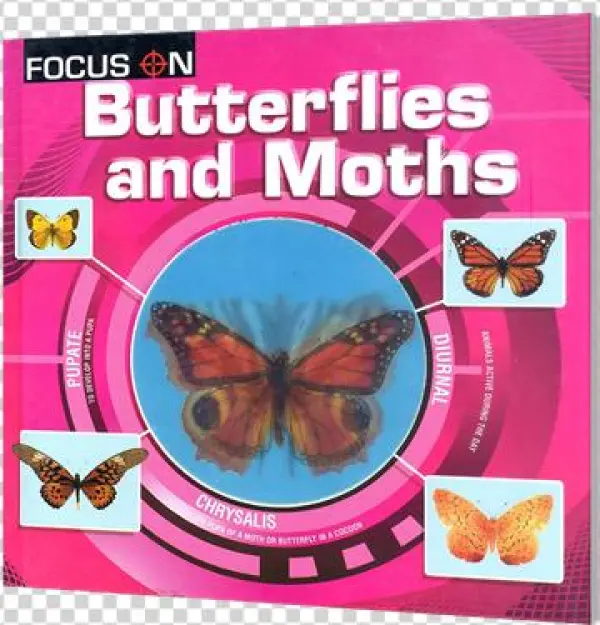 Picture Of Focus On - Lepidoptera