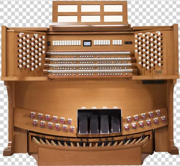 Rodgers Infinity 361