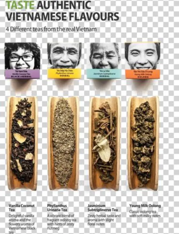 Sense Asia Tea Sampler Tea Gift Collection Of Loose - Skateboard