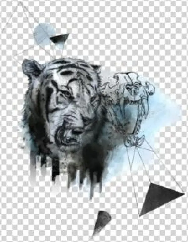 Tiger Roar - Illustration