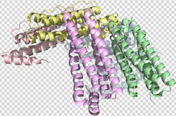 4ztt 1eum 4xgs 4reu - Chain