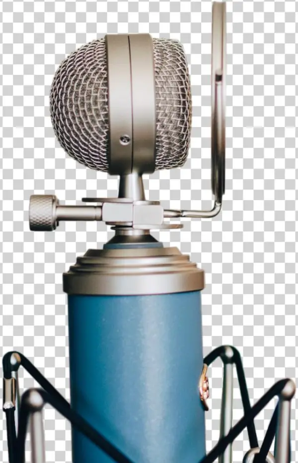 60/hr - Microphone